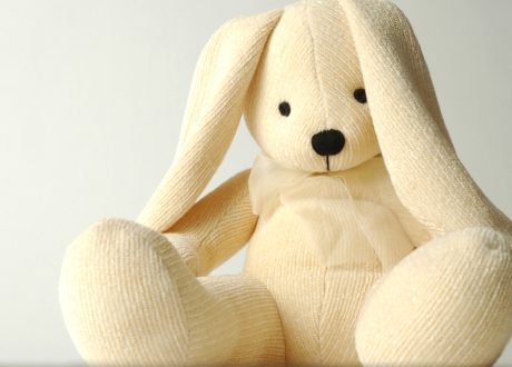 bigstockphoto_Bunny__301086_0